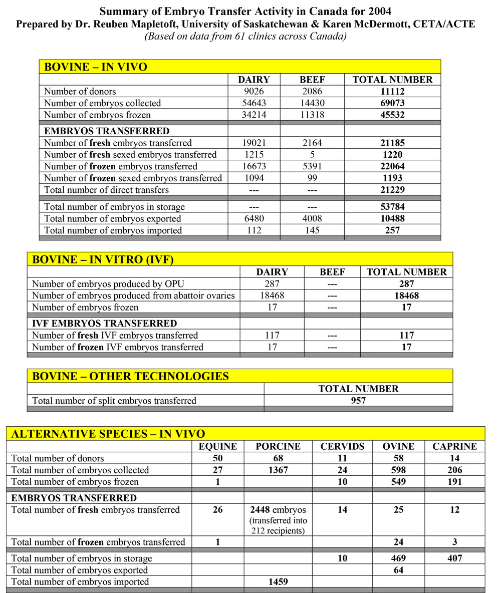 2004 Summary