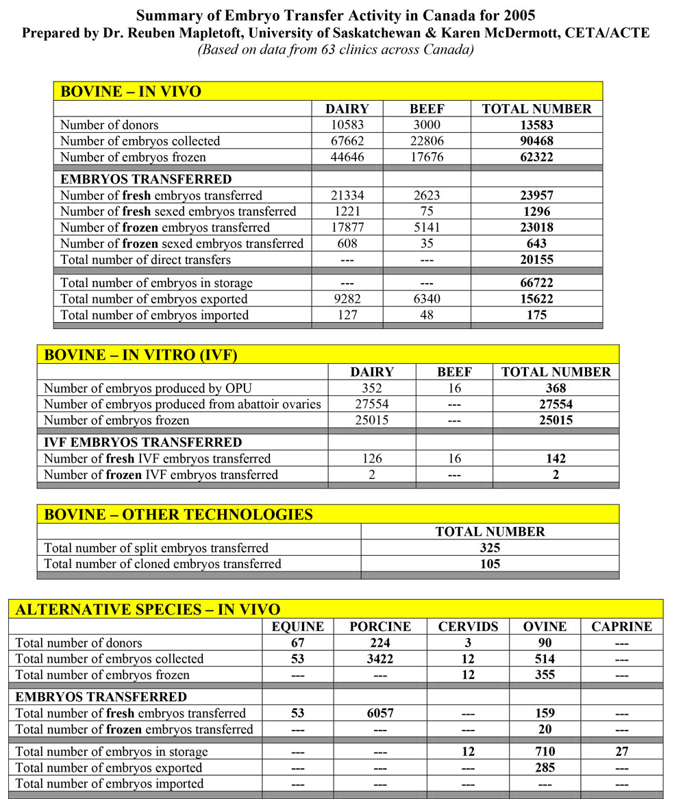 2005 Summary